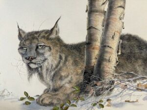 Lynx by Roger Eastwood