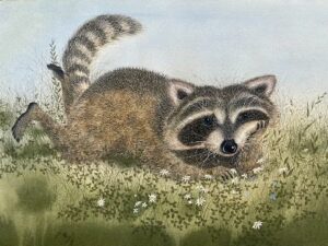 Relaxing Raccoon by Roger Eastwood