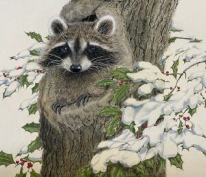 Raccoon in a tree by Roger Eastwood