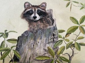 Raccoon in stump