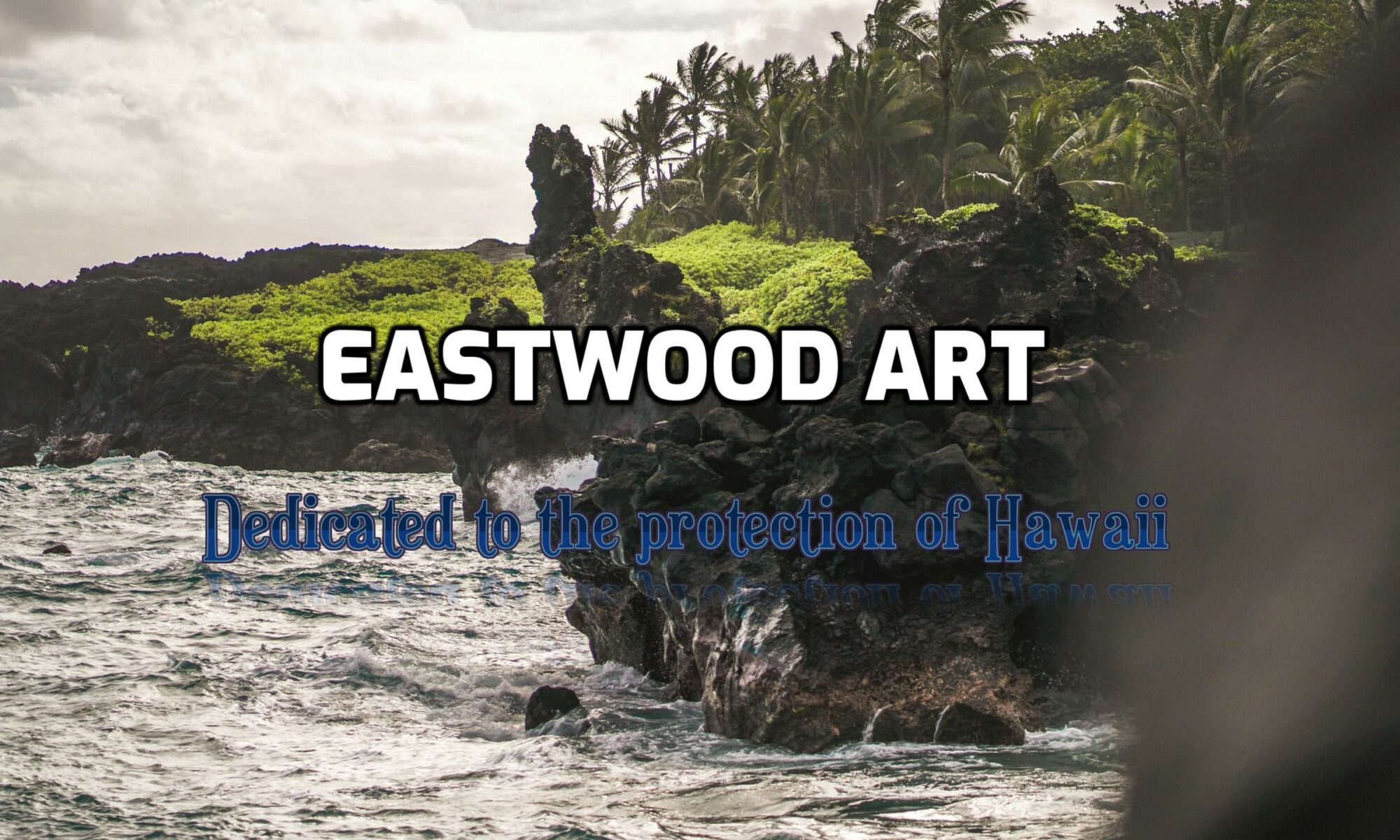 ABOUT: Roger Eastwood, Anne Eastwood, Family & Products Collect Hawaii
